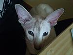     
: DSC_0956.jpg
: 6
:	101.6 
ID:	4704532