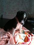     
: IMG_0688.jpg
: 18
:	97.1 
ID:	4704551