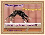     
: ду.jpg
: 10
:	9.1 
ID:	4704625