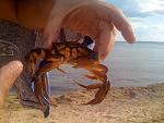     
: IMG_0465.jpg
: 16
:	135.3 
ID:	4705210
