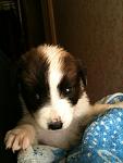     
: IMG_0695.jpg
: 6
:	73.4 
ID:	4708383