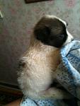     
: IMG_0697.jpg
: 5
:	70.0 
ID:	4708384
