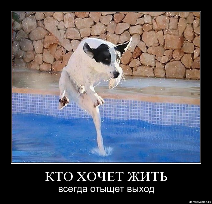     
: 1269098780_tjaobjah97ys.jpg
: 14
:	190.2 
ID:	4709344