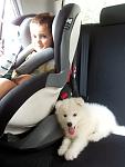     
: 20120623_112422.jpg
: 40
:	72.8 
ID:	4709527
