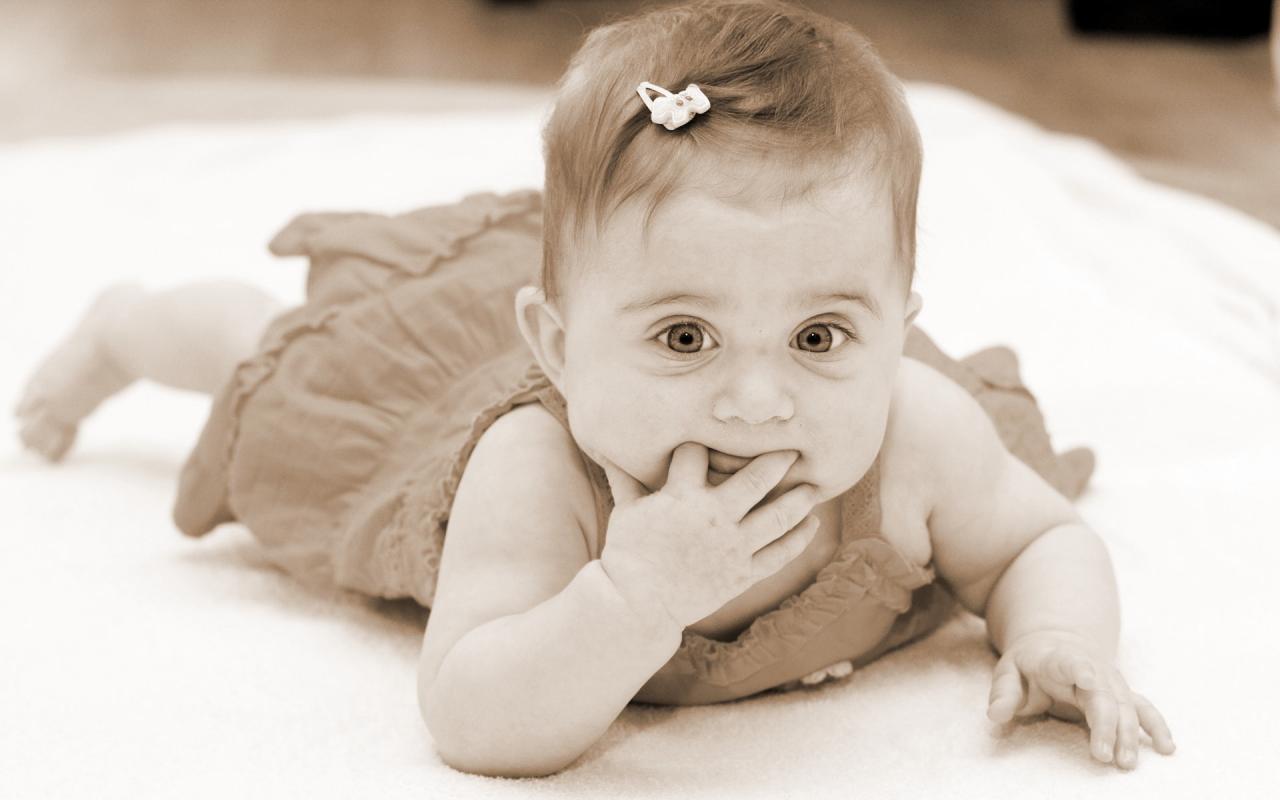     
: artleo.com-1396.jpg
: 16
:	62.7 
ID:	4710122