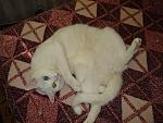     
: DSC01606.JPG
: 23
:	151.4 
ID:	4711739