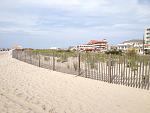     
: cape may august 2012 351.jpg
: 28
:	140.7 
ID:	4712930