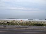     
: cape may august 2012 949.jpg
: 27
:	118.5 
ID:	4713447