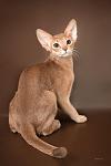     
: +IMG_9851.jpg
: 8
:	38.1 
ID:	4716301