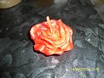     
: SAM_1602.jpg
: 7
:	236.8 
ID:	4717237
