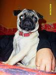     
: x_0923b3b5.jpg
: 39
:	30.8 
ID:	471813