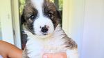     
: IMG_4410.jpg
: 6
:	68.4 
ID:	4718821