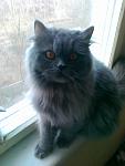    
: 03032012042.jpg
: 8
:	69.5 
ID:	4719328