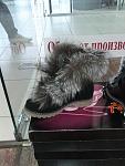     
: IMG_20120818_172326.jpg
: 103
:	88.8 
ID:	4719570
