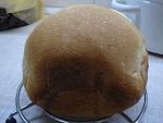    
: DSC02542.JPG
: 18
:	159.7 
ID:	4720076