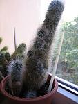     
: IMG_9074.JPG
: 11
:	151.0 
ID:	4721091