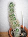     
: IMG_9075.JPG
: 11
:	189.1 
ID:	4721092