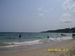     
: SS855841.jpg
: 22
:	85.1 
ID:	4726077