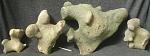     
: figurines25Aug.jpg
: 10
:	79.8 
ID:	4728599