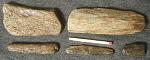     
: bones25Aug.jpg
: 9
:	53.6 
ID:	4728600