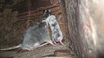     
: IMG_7179.jpg
: 8
:	39.0 
ID:	4728746