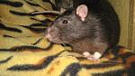     
: IMG_7254.jpg
: 7
:	37.3 
ID:	4728808