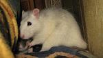    
: IMG_7217.jpg
: 6
:	30.9 
ID:	4728829