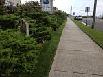     
: cape may august 2012 589.jpg
: 48
:	228.5 
ID:	4730143