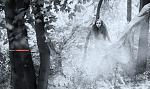     
: 7518373_288140565.jpg
: 6
:	197.1 
ID:	4731204