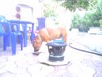     
: IMG0228A.jpg
: 21
:	86.7 
ID:	4731708