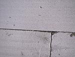     
: IMG_3196.jpg
: 55
:	135.5 
ID:	4731744