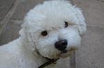     
: DSC_0298.jpg
: 10
:	62.5 
ID:	4733027