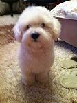     
: IMG_0297.jpg
: 13
:	107.3 
ID:	4733037
