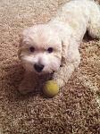     
: IMG_0221.jpg
: 11
:	138.5 
ID:	4733042