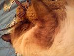     
: DSC00426.jpg
: 24
:	116.8 
ID:	4734212