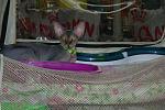     
: DSCN3706.JPG
: 10
:	138.8 
ID:	4737804