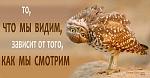     
: ge.jpeg
: 7
:	35.7 
ID:	4739491