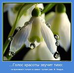     
: motivator-34091.jpg
: 6
:	45.0 
ID:	4740945