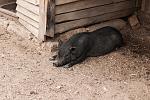     
: DSC_7489-Edit.jpg
: 95
:	208.6 
ID:	4744891