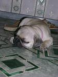     
: DSC02549.jpg
: 7
:	67.3 
ID:	4744905