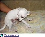     
: 1edcfb577b91t.jpg
: 24
:	6.0 
ID:	4745967