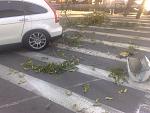     
: 30082012231.jpg
: 79
:	154.0 
ID:	4749676