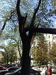     
: 30082012233.jpg
: 36
:	228.7 
ID:	4749680