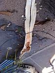     
: 30082012235.jpg
: 34
:	167.6 
ID:	4749682