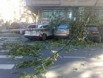     
: 30082012227.jpg
: 55
:	182.7 
ID:	4749696