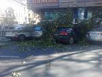     
: 30082012226.jpg
: 45
:	126.1 
ID:	4749698