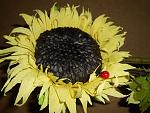     
: DSCN2140.jpg
: 5
:	131.3 
ID:	4752889