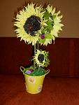     
: DSCN2134.jpg
: 9
:	95.9 
ID:	4752941