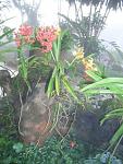     
: CIMG0603.JPG
: 38
:	103.9 
ID:	475400