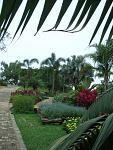     
: CIMG0622.JPG
: 36
:	32.9 
ID:	475402